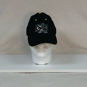 Youth NCAA Myrtle Beach Pelicans Fitted Hat